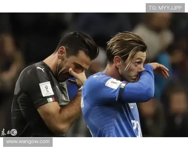 世界杯预选赛期间各洲足联的仲裁案例分析